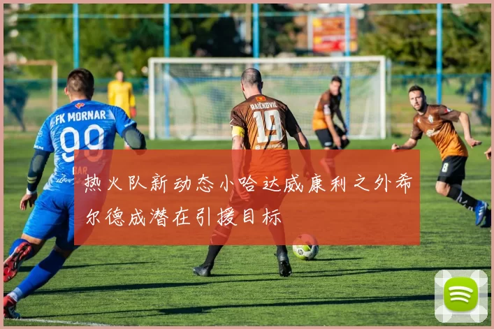热火队新动态小哈达威康利之外希尔德成潜在引援目标