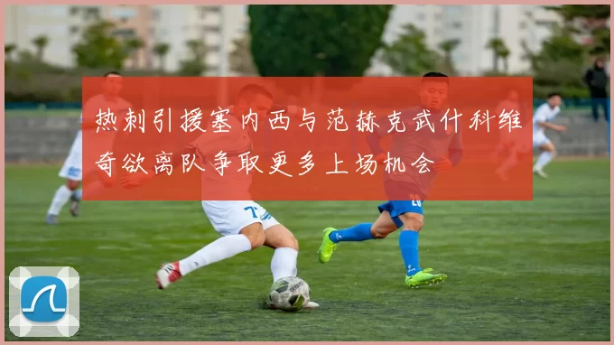 热刺引援塞内西与范赫克武什科维奇欲离队争取更多上场机会